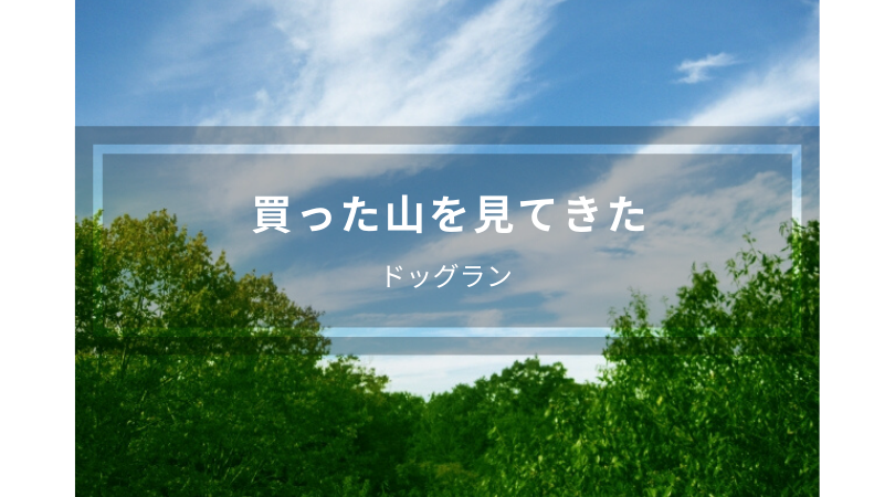 【ドッグラン】ワンコのために山買ってドッグランを作る！そのための土地を見てきた！